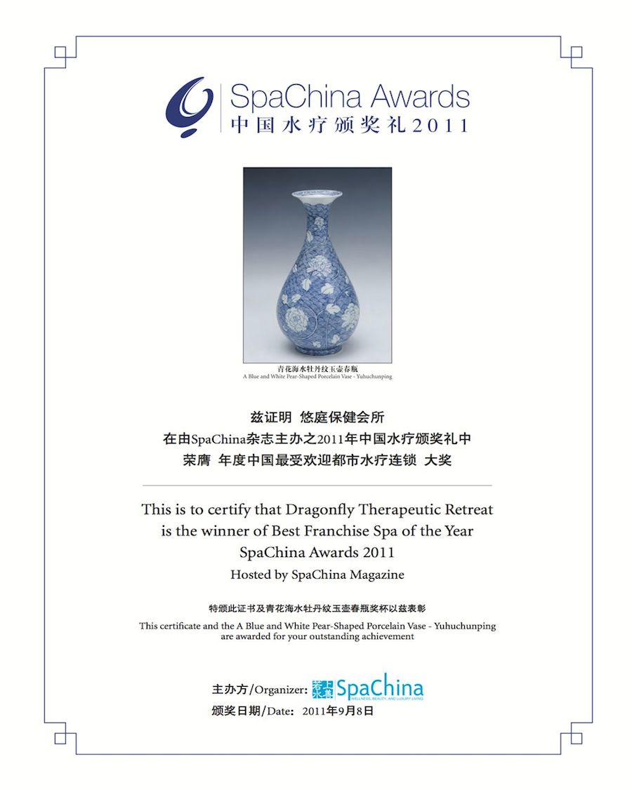 Best Franchise Spa 2011
